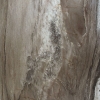 F3420 AET