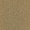 G004 Lucida
