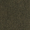 G008 Lucida