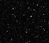7002 ÀÍÄÐÎÌÅÄÀ ×ÅÐÍÀß (Ã)