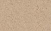 A 411 Precious Stone