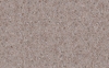D 303 Raisined Chocolate