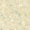 G058 Moonscape Quartz