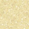 G19 Naturl Quartz