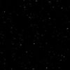 P04 Perna Black
