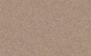 S 206 Wet Sand